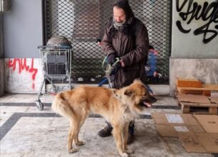Έκκληση για τον άστεγο άνδρα και τον σκύλο του που υποφέρουν στο κέντρο της Αθήνας
