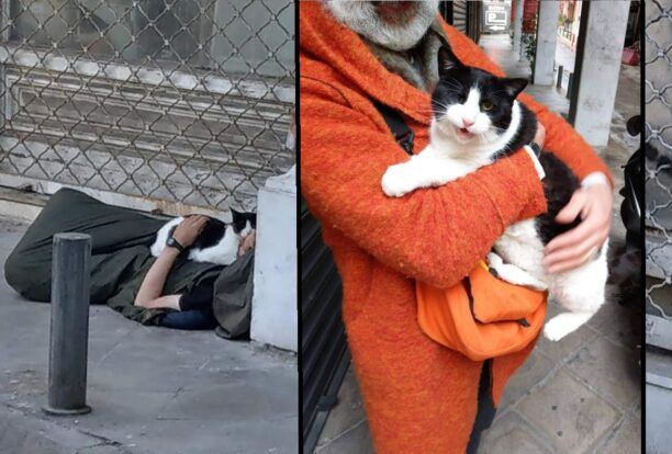Χρειάζεται σπιτικό ηλικιωμένος αδέσποτος γάτος που βρίσκει ζεστασιά στις αγκαλιές των αστέγων της Αθήνας