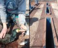 Λιβαδιά Σερρών: Έσωσαν υδρόβια πτηνά που εγκλωβίστηκαν σε πλατφόρμα ηλεκτρογεννήτριας (βίντεο)