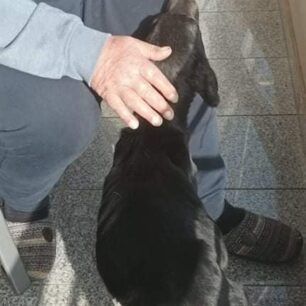 PrevezaSkylosOuraRap239 3 2022 2