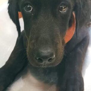 PrevezaSkylosOuraRap239 3 2022 3