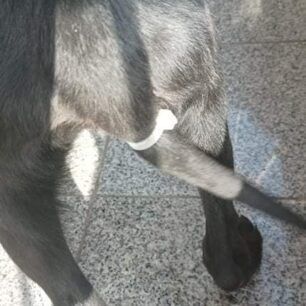 PrevezaSkylosOuraRap239 3 2022 4