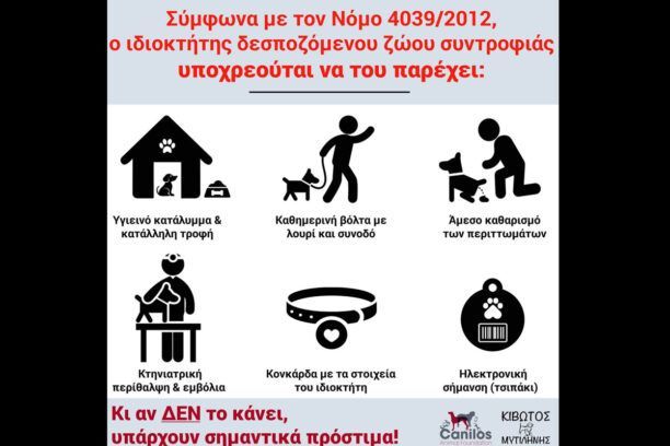 Λέσβος: Πρόστιμο 400 € στη γυναίκα που άφηνε την αστείρωτη και σε οίστρο σκυλίτσα της να κυκλοφορεί χωρίς επιτήρηση