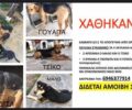 Χάθηκαν 4 σκυλιά (δύο θηλυκά και δύο αρσενικά) από το Συκάμινο Ωρωπού
