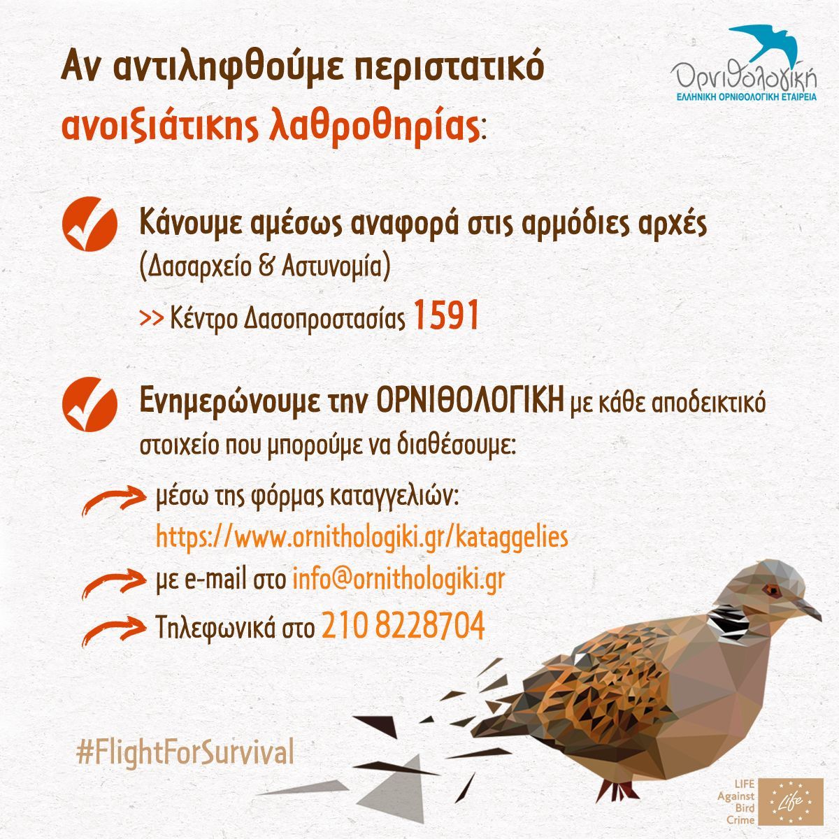 Ορνιθολογική: Με τις πλάτες της Πολιτείας (Υπουργείο, Δασαρχείο, Αστυνομία) συνεχίζεται το παράνομο κυνήγι τρυγονιών 1 TrigoniOrnithologiki 2