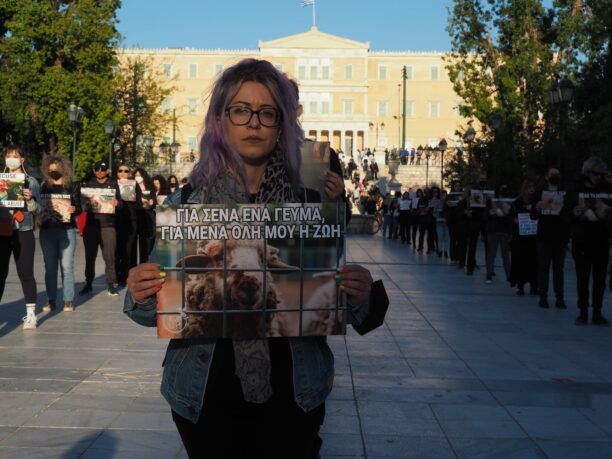 Κάθε ζωή έχει αξία – Τα ζώα δεν γεννήθηκαν για να καταλήγουν στο πιάτο μας (βίντεο)