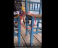 Εύβοια: Κλώτσησε γάτα την πέταξε στη θάλασσα και βρίζει μέσω Instagram όσους τον κατηγορούν (βίντεο)