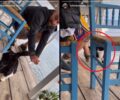 Αθωώθηκε ο άνδρας που κλώτσησε γάτα στον Άγιο Γεώργιο Εύβοιας (βίντεο)