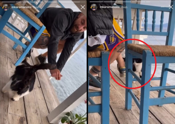 Συνελήφθη και συνεχίζει να προκαλεί ο άνδρας που κακοποίησε γάτα πετώντας στη θάλασσα στον Άγιο Γεώργιο Εύβοιας (βίντεο)