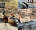 Βουλιαγμένη Αττικής: Εγκατέλειψε σκύλο δένοντας τον σε παγκάκι