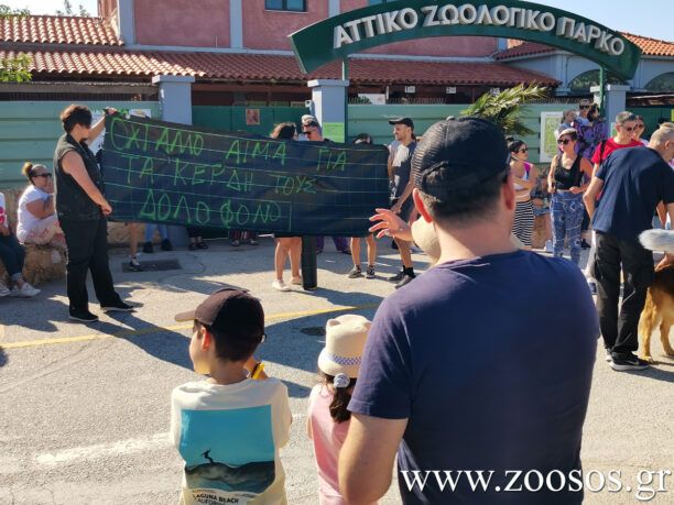 Το Υπ. Παιδείας δεν απαγορεύει τις επισκέψεις μαθητών στο Αττικό Ζωολογικό Πάρκο (βίντεο)