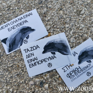 AttikoParkoDiamartyriaXimpantzis26 6 2022 17