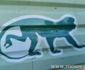 My Dolphin Club: Όλα καλά τα βρήκε η Περιφέρεια Αττικής στο Αττικό Ζωολογικό Πάρκο παρά τον φόνο του Χιμπαντζή