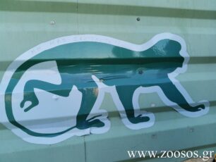 My Dolphin Club: Όλα καλά τα βρήκε η Περιφέρεια Αττικής στο Αττικό Ζωολογικό Πάρκο παρά τον φόνο του Χιμπαντζή