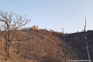 Ορνιθολογική: Προκαλεί ανησυχία η δυνατότητα απαγόρευσης πρόσβασης σε περιοχές NATURA με πρόσχημα την πυρασφάλεια