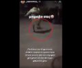 Κομοτηνή: Νεαρός πετάει στον αέρα & κλωτσάει γάτα – Φίλοι του γελούν και ανεβάζουν βίντεο στο Instagram