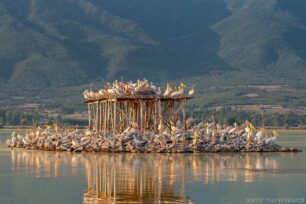 Φτερωτός Παρθενώνας στη λίμνη Κερκίνη