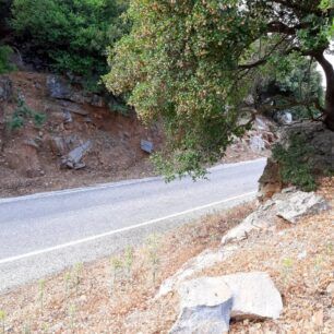 NaxosMoutsounaSkylos10 6 2022 14