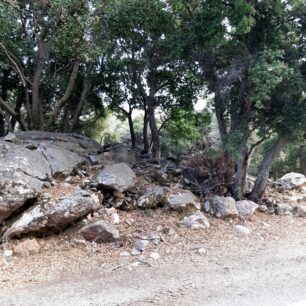 NaxosMoutsounaSkylos10 6 2022 15