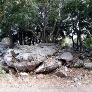NaxosMoutsounaSkylos10 6 2022 16