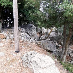 NaxosMoutsounaSkylos10 6 2022 17