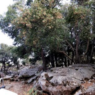 NaxosMoutsounaSkylos10 6 2022 18