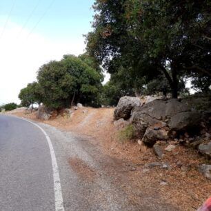 NaxosMoutsounaSkylos10 6 2022 20