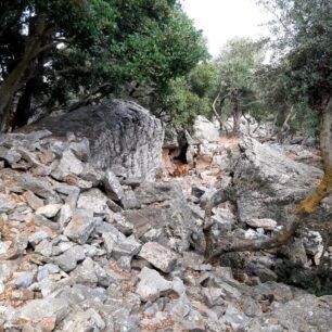 NaxosMoutsounaSkylos10 6 2022 4