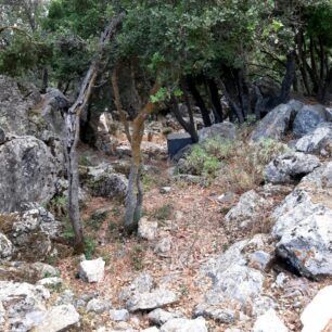 NaxosMoutsounaSkylos10 6 2022 9