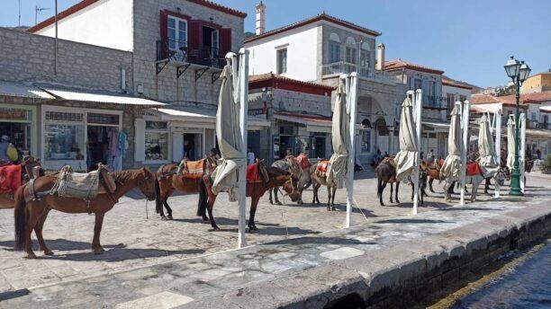 Η κακοποίηση μουλαριών, γαϊδουριών, αλόγων στην Ύδρα συνεχίζεται (βίντεο)