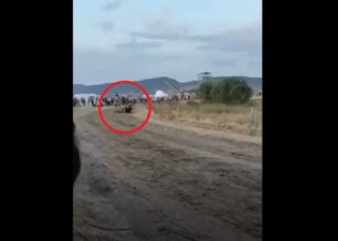 Κιβωτός Μυτιλήνης: Και δεύτερο άλογο τραυματίστηκε και το θανάτωσαν στις παράνομες ιπποδρομίες εντός ισοπεδωμένης NATURA στις Αλυκές Λέσβου (βίντεο)