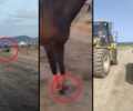 Λέσβος: Με πολυετή καθυστέρηση η Αστυνομία θα κάνει έλεγχο για άλογα που σακατεύονται σε παράνομες ιπποδρομίες και για παρεμβάσεις σε περιοχή NATURA