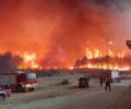 Βουλευτές ΣΥ.ΡΙΖ.Α.-Π.Σ.: Αναγκαία η απαγόρευση κυνηγιού σε όλες τις περιοχές που κάηκαν