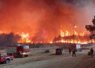 Βουλευτές ΣΥ.ΡΙΖ.Α.-Π.Σ.: Αναγκαία η απαγόρευση κυνηγιού σε όλες τις περιοχές που κάηκαν