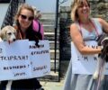Κόλαση για τ’ αδέσποτα ζώα ο Δήμος Ζαγοράς Μουρεσίου – Χωρίς τροφές, στειρώσεις, περίθαλψη για σκυλιά και γάτες (βίντεο)