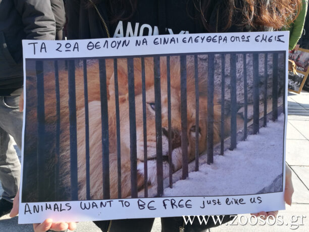 Θεσσαλονίκη: Διαμαρτυρία φιλόζωων κατά του εγκλεισμού ζώων σε ζωολογικούς «κήπους»