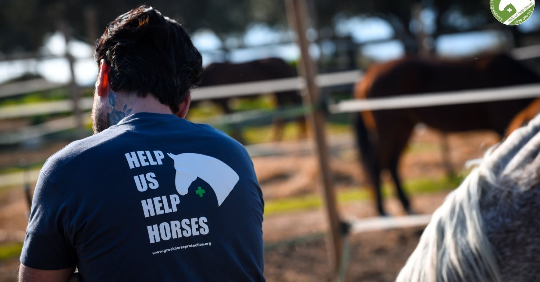 Ενημερώστε τον Ελληνικό Σύλλογο Προστασίας Ιπποειδών για άλογα, μουλάρια, γαϊδούρια σε πυρόπληκτες περιοχές της Αττικής