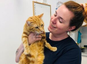 Πάρος: Έσωσαν την άρρωστη αδέσποτη γάτα που υιοθετήθηκε και ζει στο Παρίσι