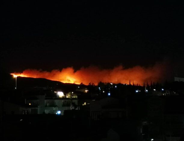 Ελένη Κίκιζα, κάτοικος Ντράφι: «Έχουν παρατήσει όλοι οι σιχαμένοι τα ζώα τους και έχουν φύγει» (βίντεο)