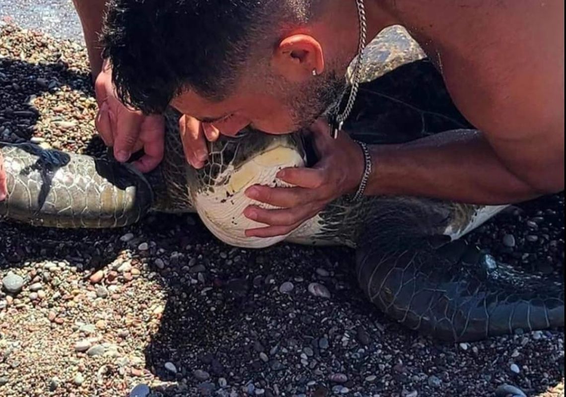 Ρόδος: Έσωσαν θαλάσσια χελώνα που βρέθηκε παγιδευμένη σε σχοινιά και δίχτυα (βίντεο)