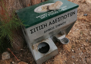 Φιλοζωικό Σωματείο Σίφνου: Άδειες αφήνει ο Δήμος τις ταΐστρες – Ως πότε οι γάτες θα τρώνε από τα σκουπίδια;