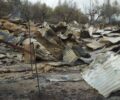 Σκιλλουντία Ηλείας: Ζώα κάηκαν ζωντανά σε μαντρί