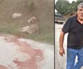 Παύτηκε από αντιδήμαρχος Ζίτσας ο κτηνοτρόφος που κακοποίησε γάιδαρο στο Γραμμένο Ιωαννίνων (βίντεο)