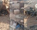 Λιβαδειά Βοιωτίας: Τι απέγιναν τα δεκάδες σκυλιά που κακοποιεί παράνομος εκτροφέας και κυνηγός;