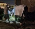 Ζάκυνθος: Συστηματικά κακοποιεί ιπποειδή αμαξάς που έβαζε σοβαρά τραυματισμένο άλογο να σέρνει άμαξα