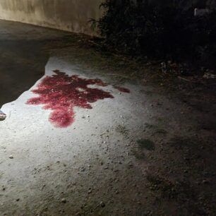 Ζάκυνθος: Αμαξάς είχε δεμένο στην άμαξα 10 ώρες τραυματισμένο άλογο για να μη χάσει κούρσα 6 ZakynthosAlykesAlogoAmaxas30 8 2022 6
