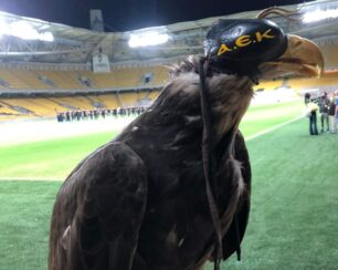 Ελ. Ηλιοπούλου: Δεν πρέπει οι οπαδοί της ΑΕΚ από τη χαρά τους να μη δουν ότι ο αετός κακοποιείται (βίντεο)