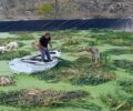 Άγιος Παντελεήμονας Φλώρινας: Απεγκλώβισαν σκυλιά που παγιδεύτηκαν σε δεξαμενή βιολογικού (βίντεο)
