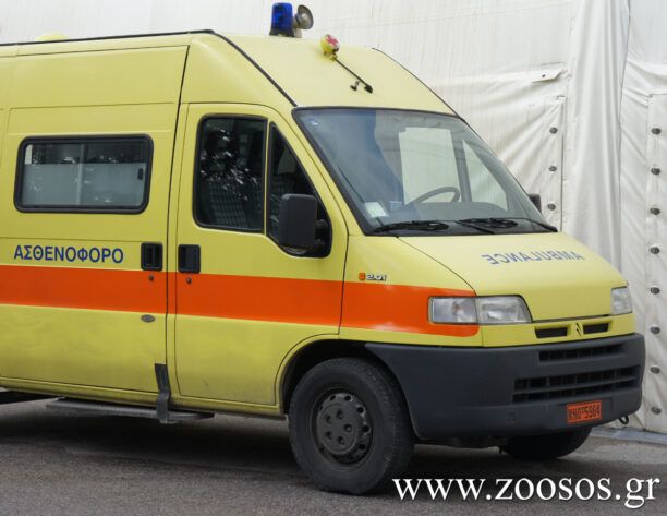 Διαβατά Θεσσαλονίκης: Δολοφονημένος σκύλος, τραυματισμένο 8χρονο κοριτσάκι και δύο άνδρες μετά από συμπλοκή σε καταυλισμό Ρομά