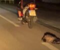 Πολύστυλο Καβάλας: Άνδρας έσερνε ζώο στην άσφαλτο αφού τον έδεσε σε μοτοσυκλέτα (βίντεο)
